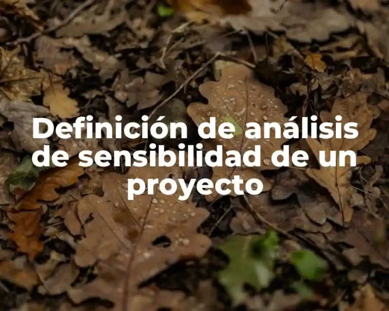Definición de análisis de sensibilidad de un proyecto