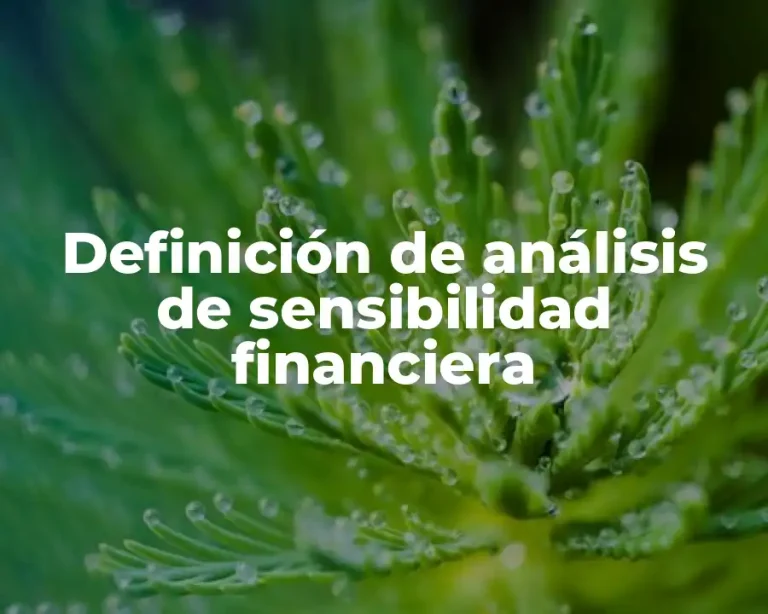 Definición de análisis de sensibilidad financiera