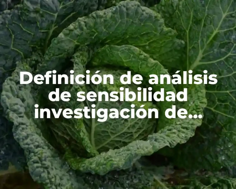 Definición de análisis de sensibilidad investigación de operaciones