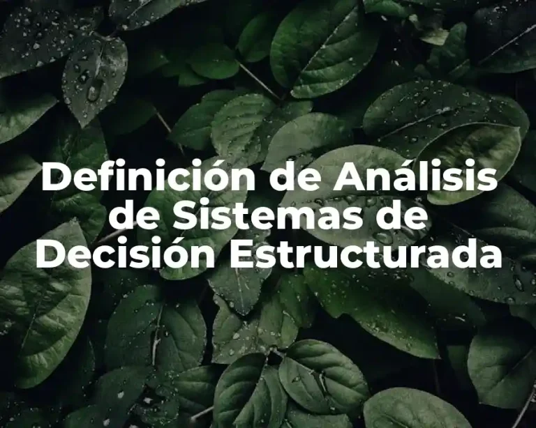Definición de Análisis de Sistemas de Decisión Estructurada