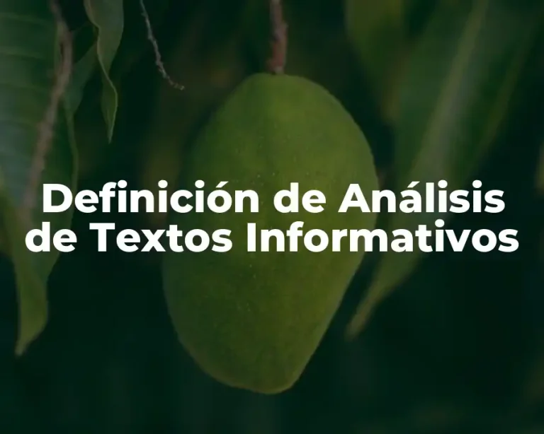Definición de Análisis de Textos Informativos