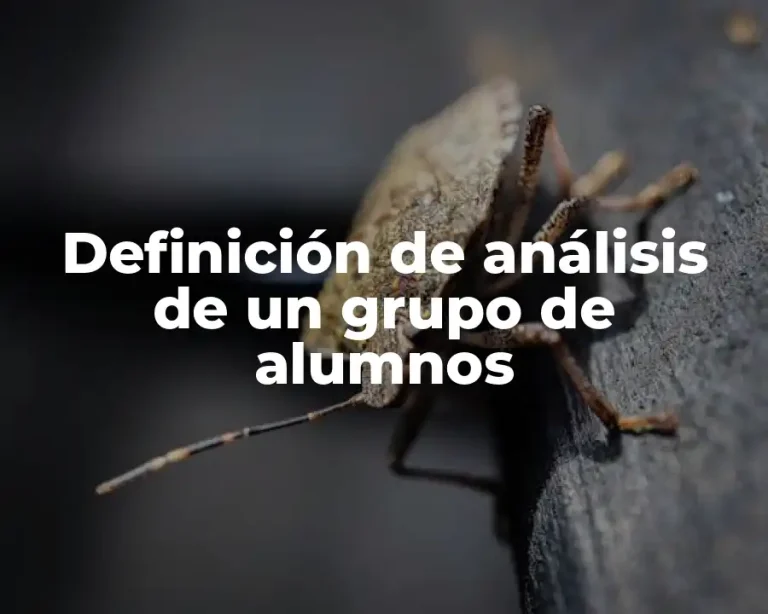 Definición de análisis de un grupo de alumnos