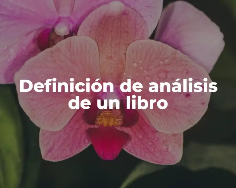 Definición de análisis de un libro