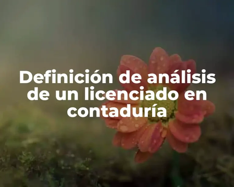 Definición de análisis de un licenciado en contaduría