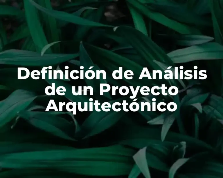 Definición de Análisis de un Proyecto Arquitectónico