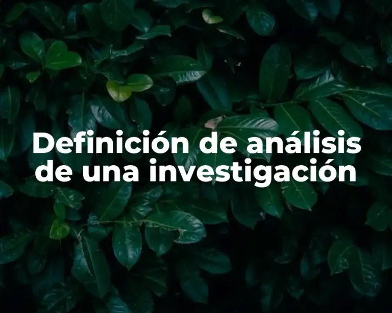 Definición de análisis de una investigación