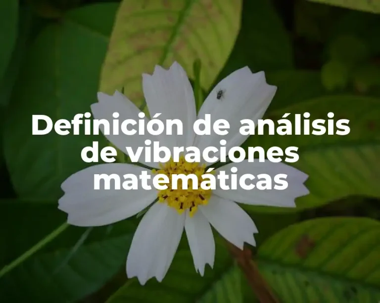 Definición de análisis de vibraciones matemáticas