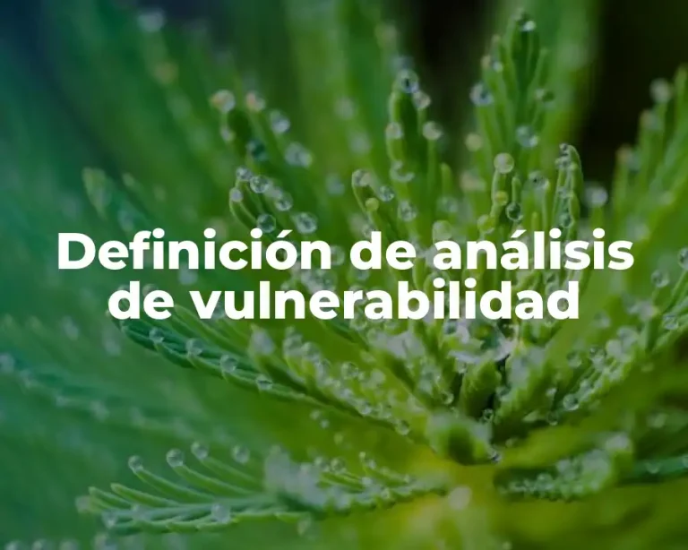 Definición de análisis de vulnerabilidad
