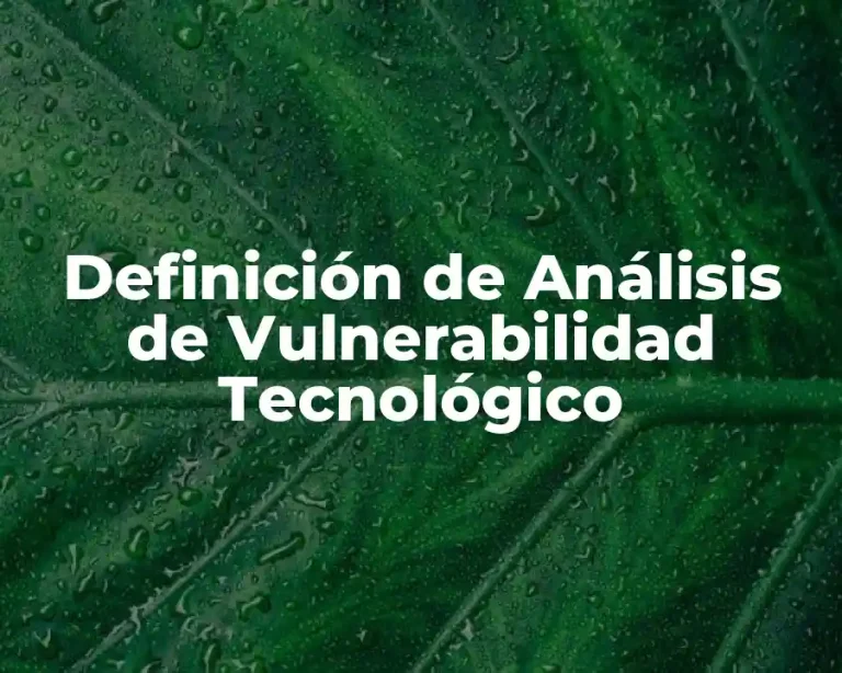 Definición de Análisis de Vulnerabilidad Tecnológico