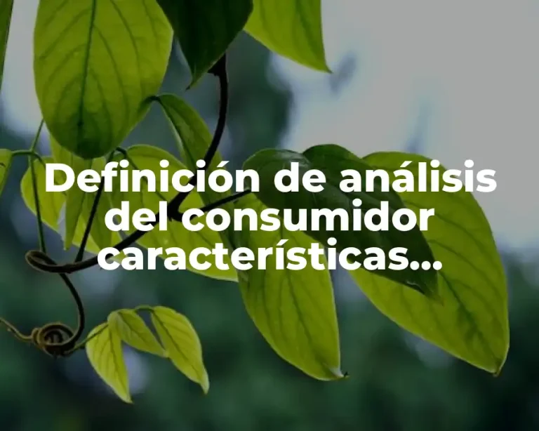 Definición de análisis del consumidor características geográficas