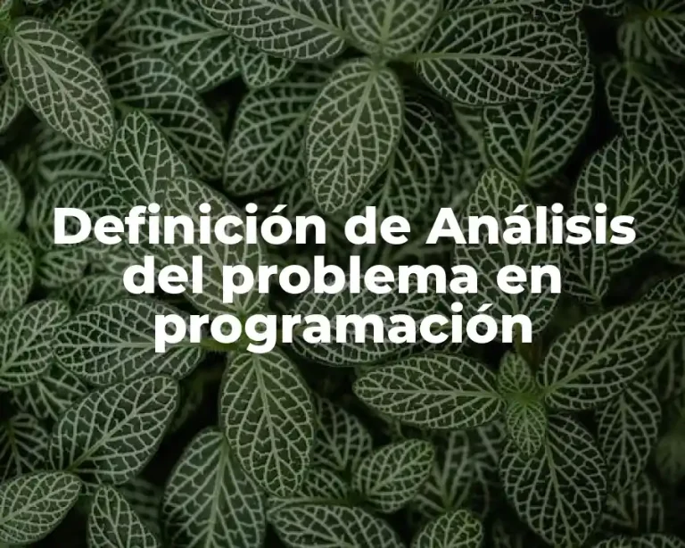 Definición de Análisis del problema en programación