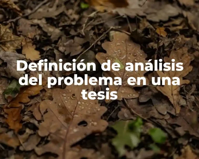 Definición de análisis del problema en una tesis
