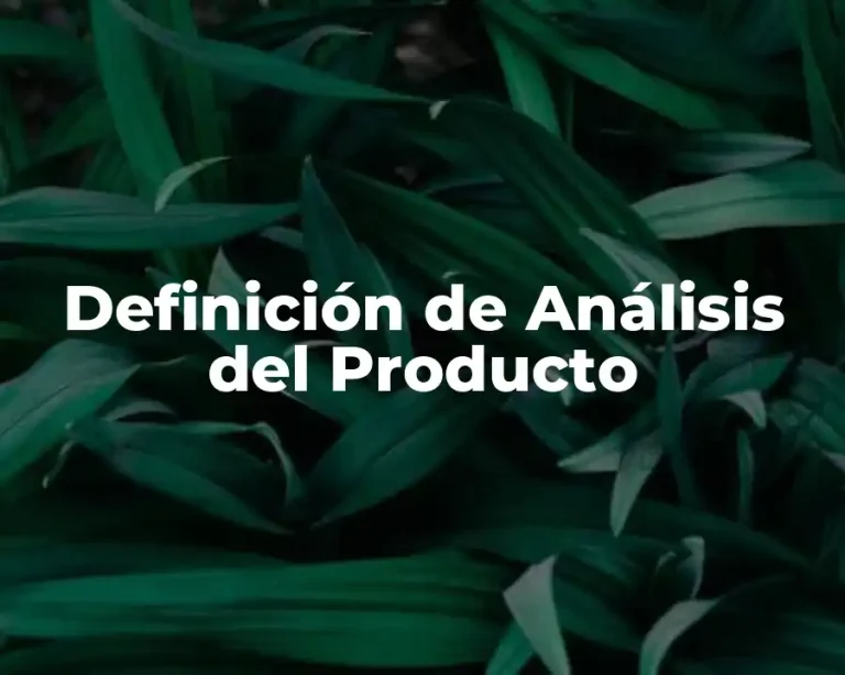 Definición de Análisis del Producto