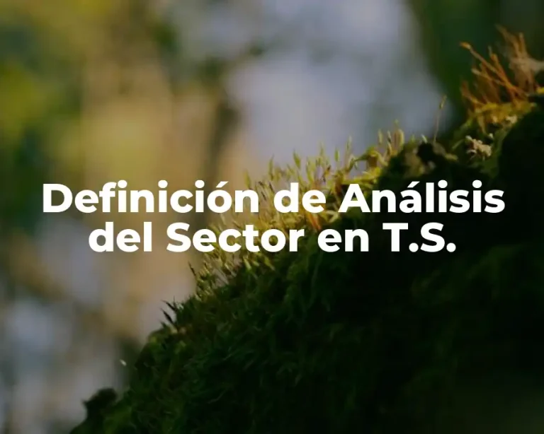 Definición de Análisis del Sector en T.S.