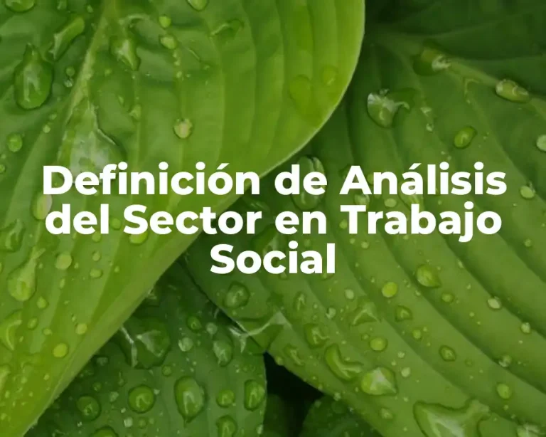Definición de Análisis del Sector en Trabajo Social