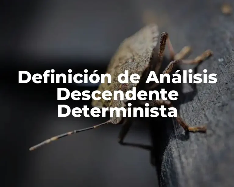 Definición de Análisis Descendente Determinista