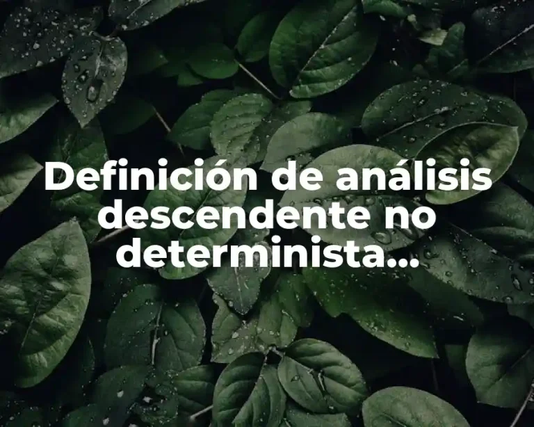 Definición de análisis descendente no determinista backtracking