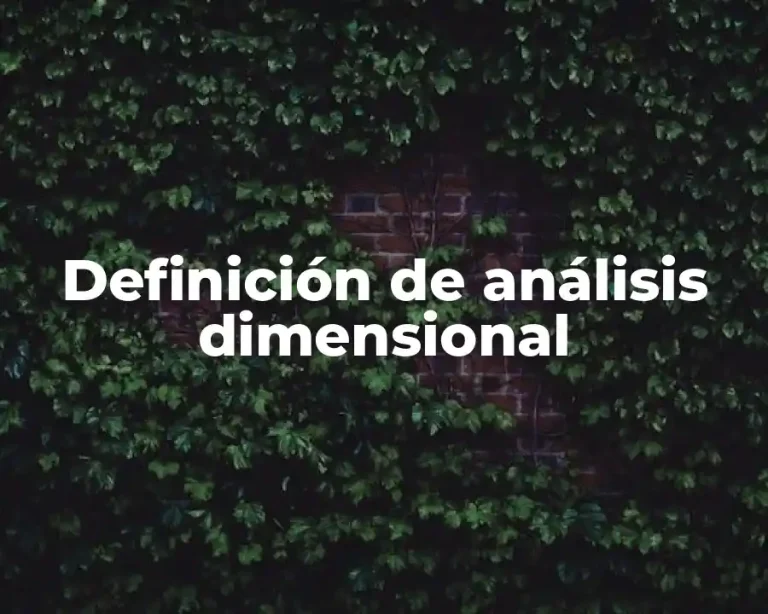 Definición de análisis dimensional
