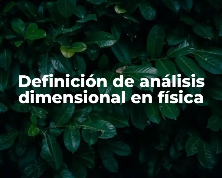 Definición de análisis dimensional en física