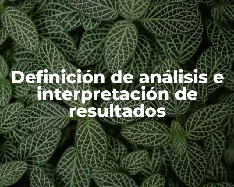 Definición de análisis e interpretación de resultados