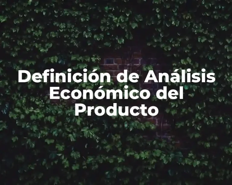 Definición de Análisis Económico del Producto