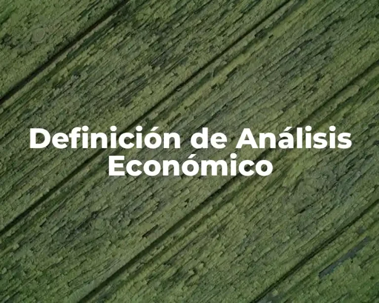 Definición de Análisis Económico