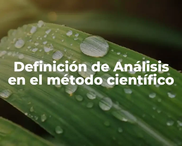 Definición de Análisis en el método científico