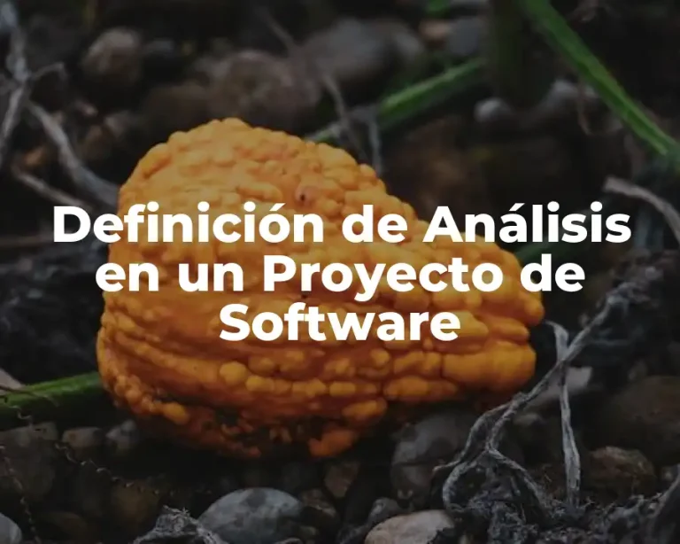 Definición de Análisis en un Proyecto de Software