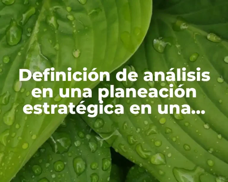 Definición de análisis en una planeación estratégica en una empresa