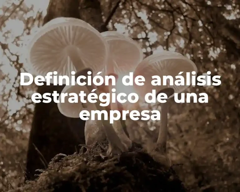 Definición de análisis estratégico de una empresa