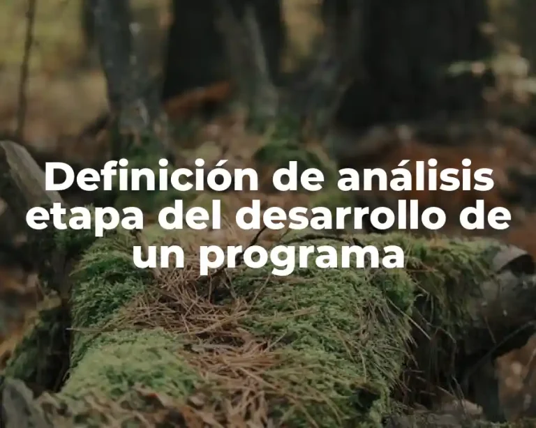 Definición de análisis etapa del desarrollo de un programa
