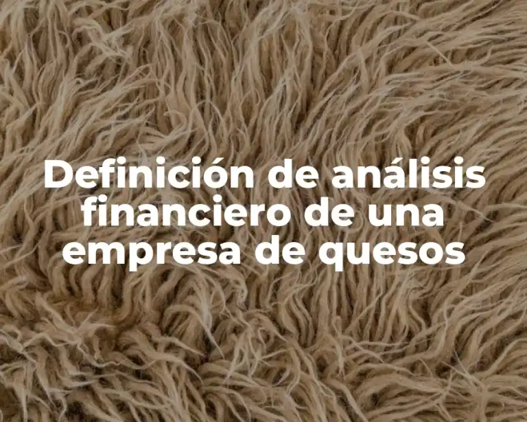 Definición de análisis financiero de una empresa de quesos