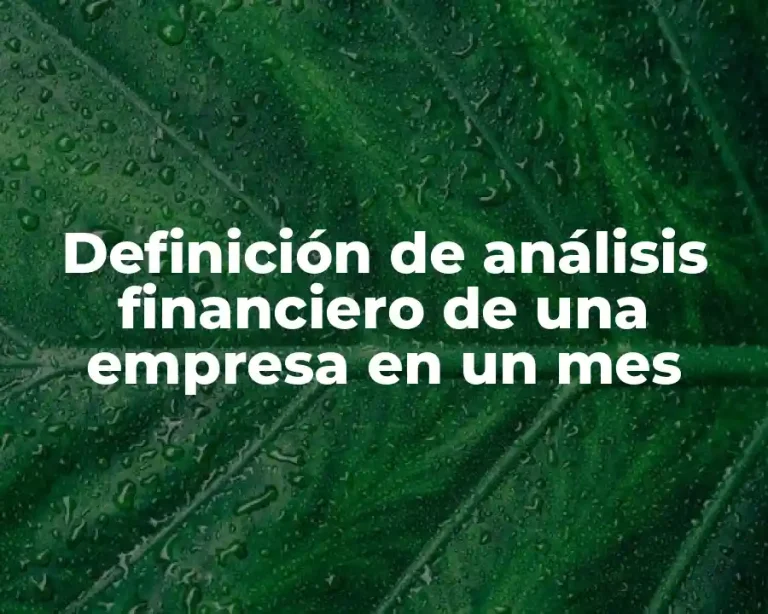 Definición de análisis financiero de una empresa en un mes