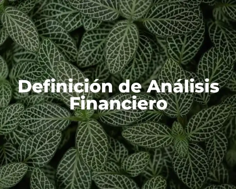 Definición de Análisis Financiero