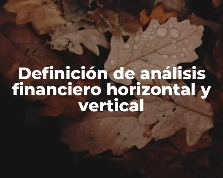 Definición de análisis financiero horizontal y vertical