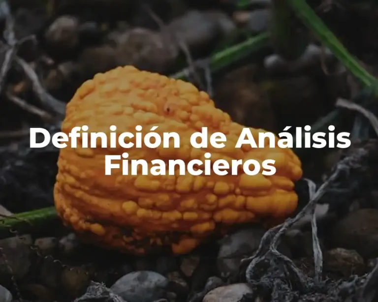 Definición de Análisis Financieros