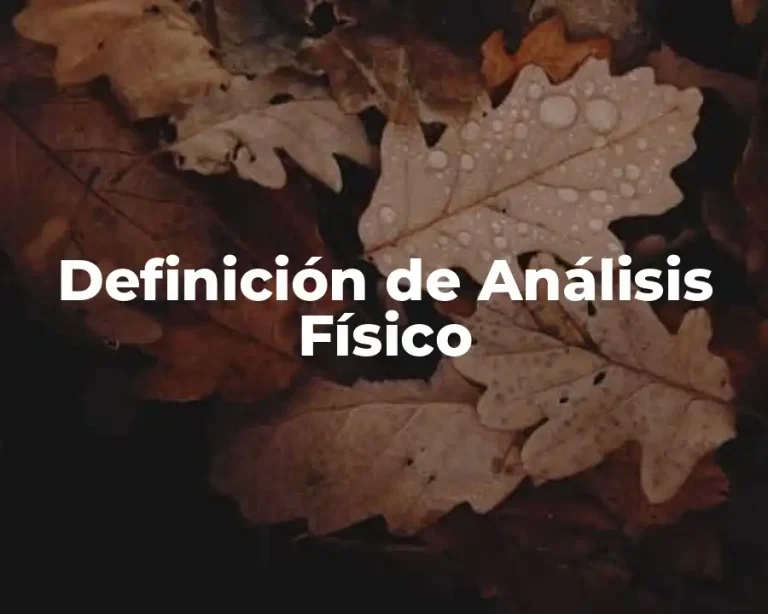 Definición de Análisis Físico