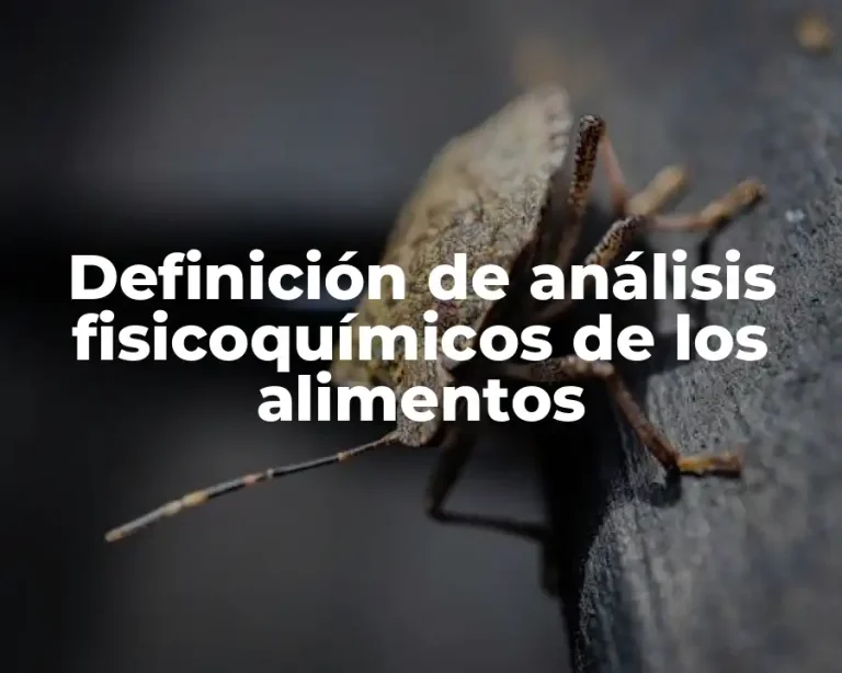 Definición de análisis fisicoquímicos de los alimentos