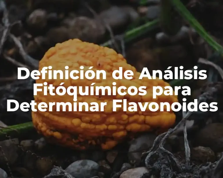 Definición de Análisis Fitóquímicos para Determinar Flavonoides