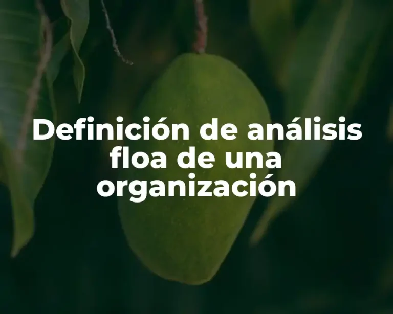 Definición de análisis floa de una organización