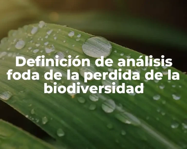 Definición de análisis foda de la perdida de la biodiversidad