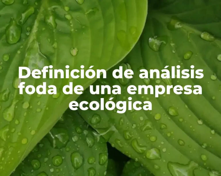 Definición de análisis foda de una empresa ecológica