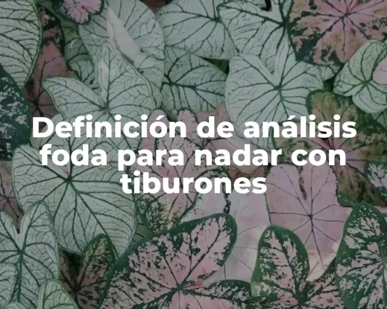 Definición de análisis foda para nadar con tiburones