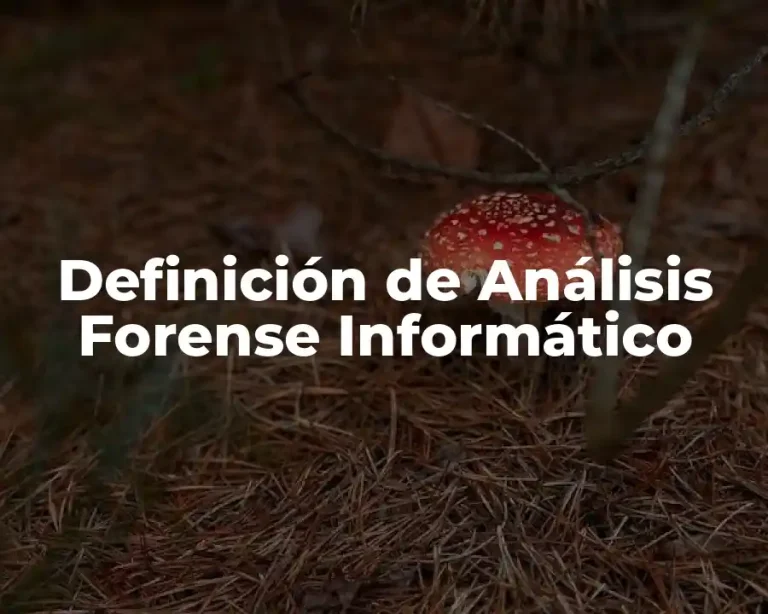 Definición de Análisis Forense Informático