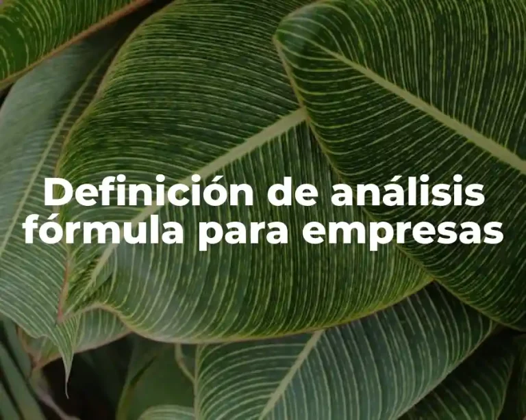 Definición de análisis fórmula para empresas