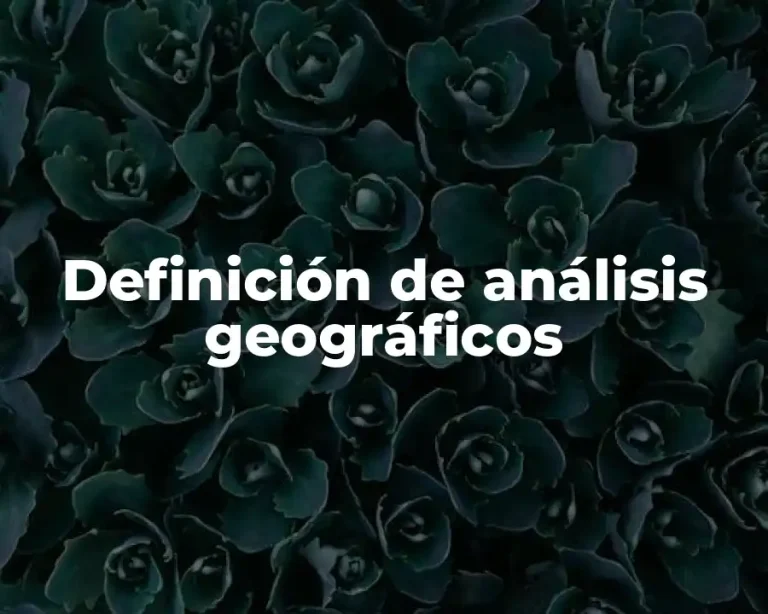 Definición de análisis geográficos