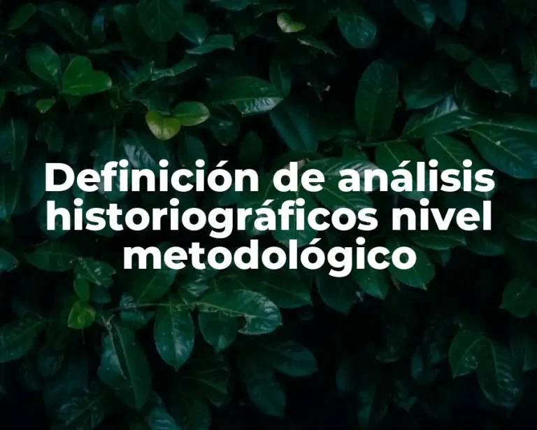 Definición de análisis historiográficos nivel metodológico