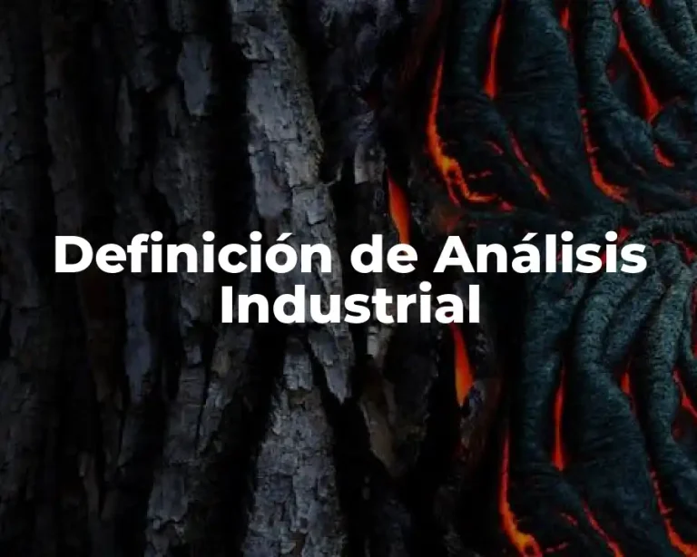 Definición de Análisis Industrial