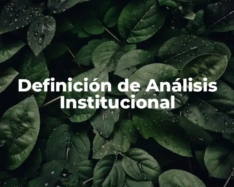 Definición de Análisis Institucional
