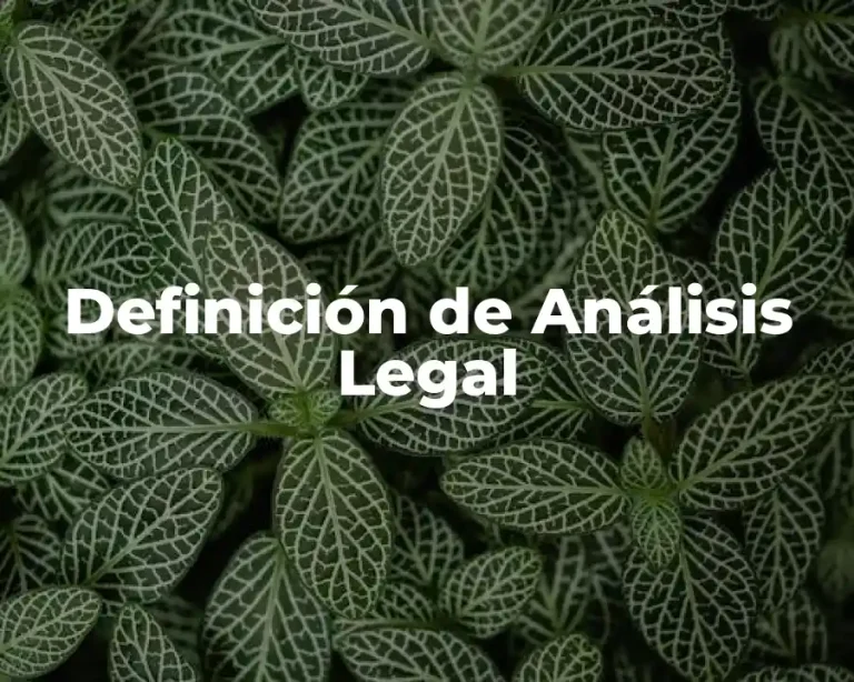 Definición de Análisis Legal